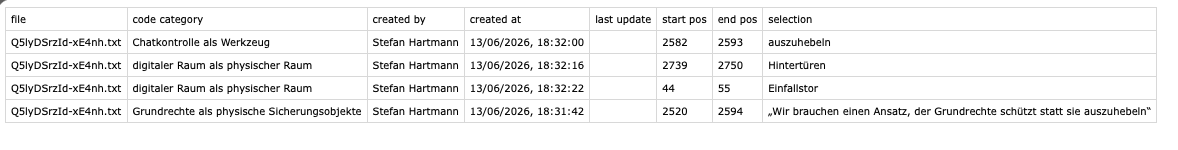 Screenshot des Spreadsheets, das aus OpenQDA exportiert wurde.