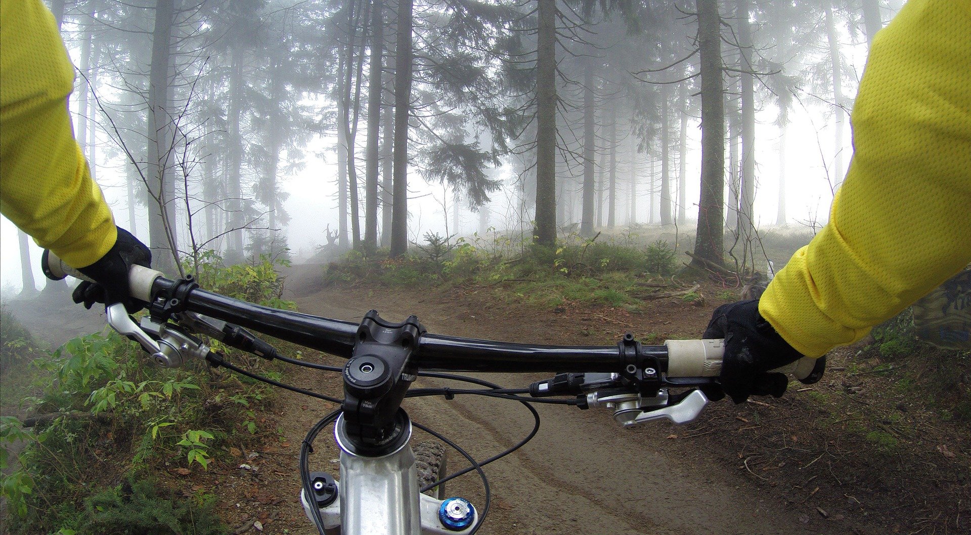 Fahrradlenker